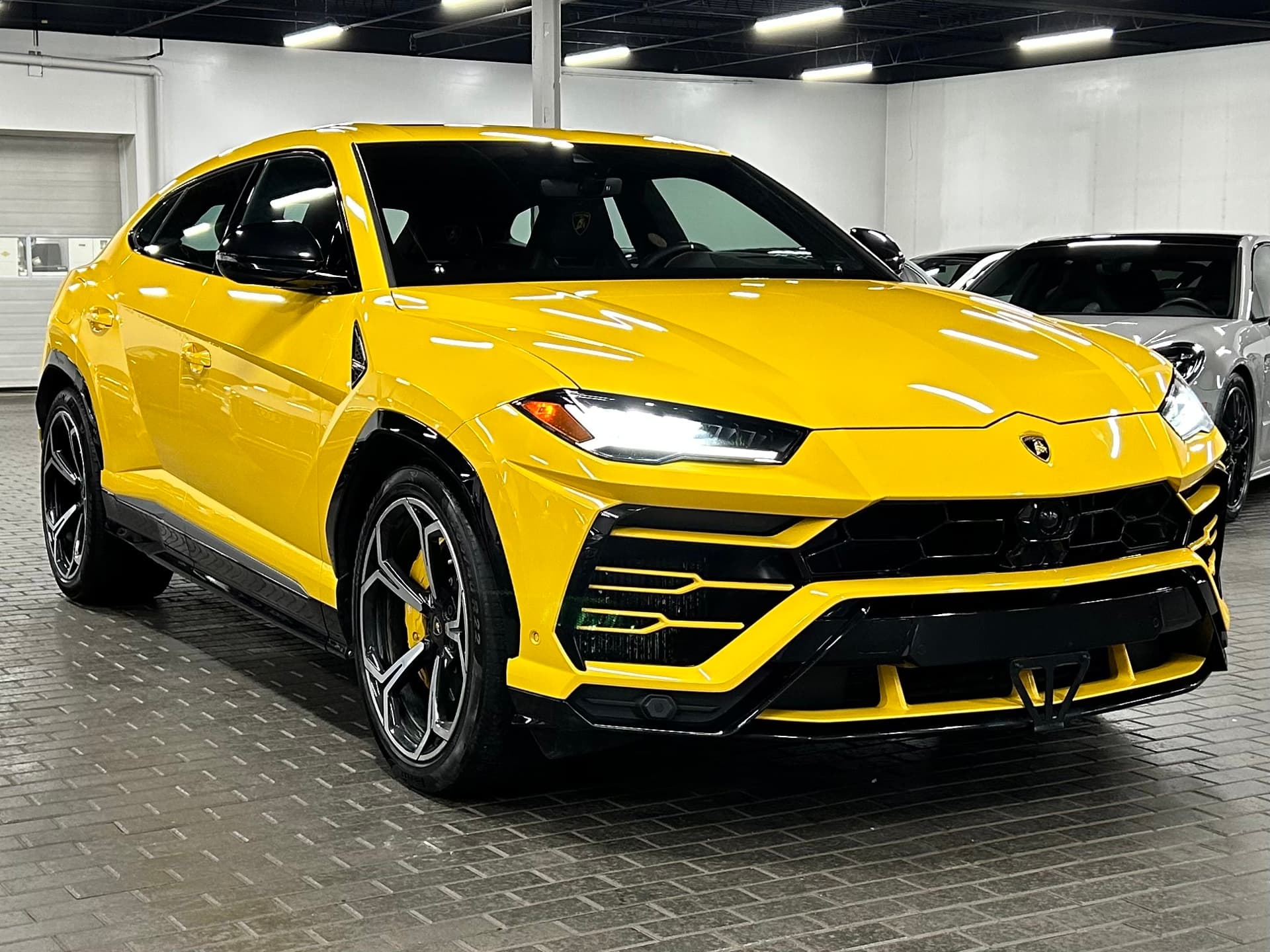 2019 Lamborghini Urus Base