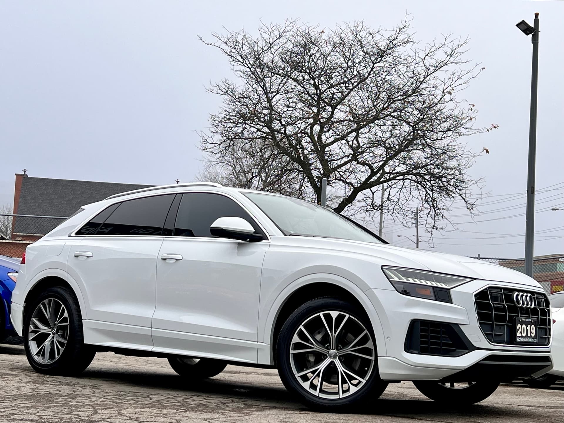 2019 Audi Q8 Technik 55 TFSI Quattro|3D ...