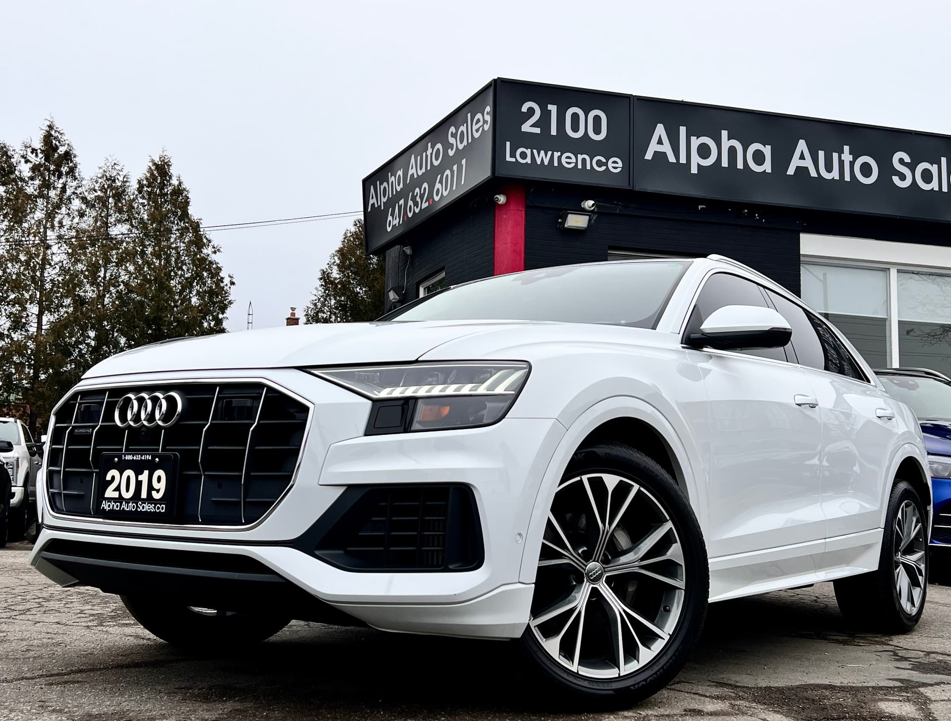 2019 Audi Q8 Technik 55 TFSI Quattro|3D ...