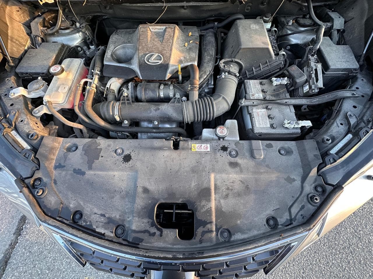 2019 Lexus NX NX300 Premium, Certified