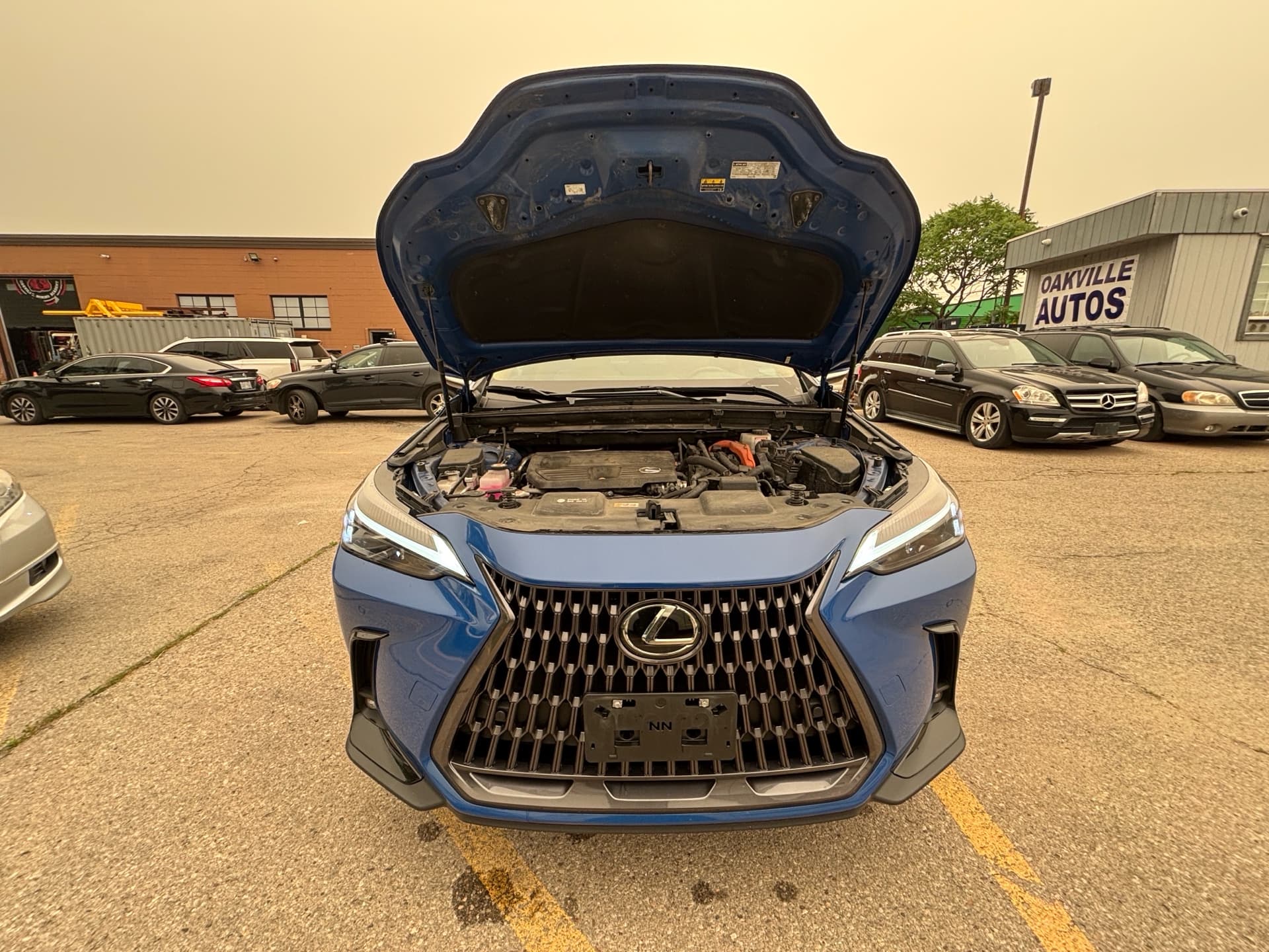 2024 Lexus NX 350H NX 350h AWD