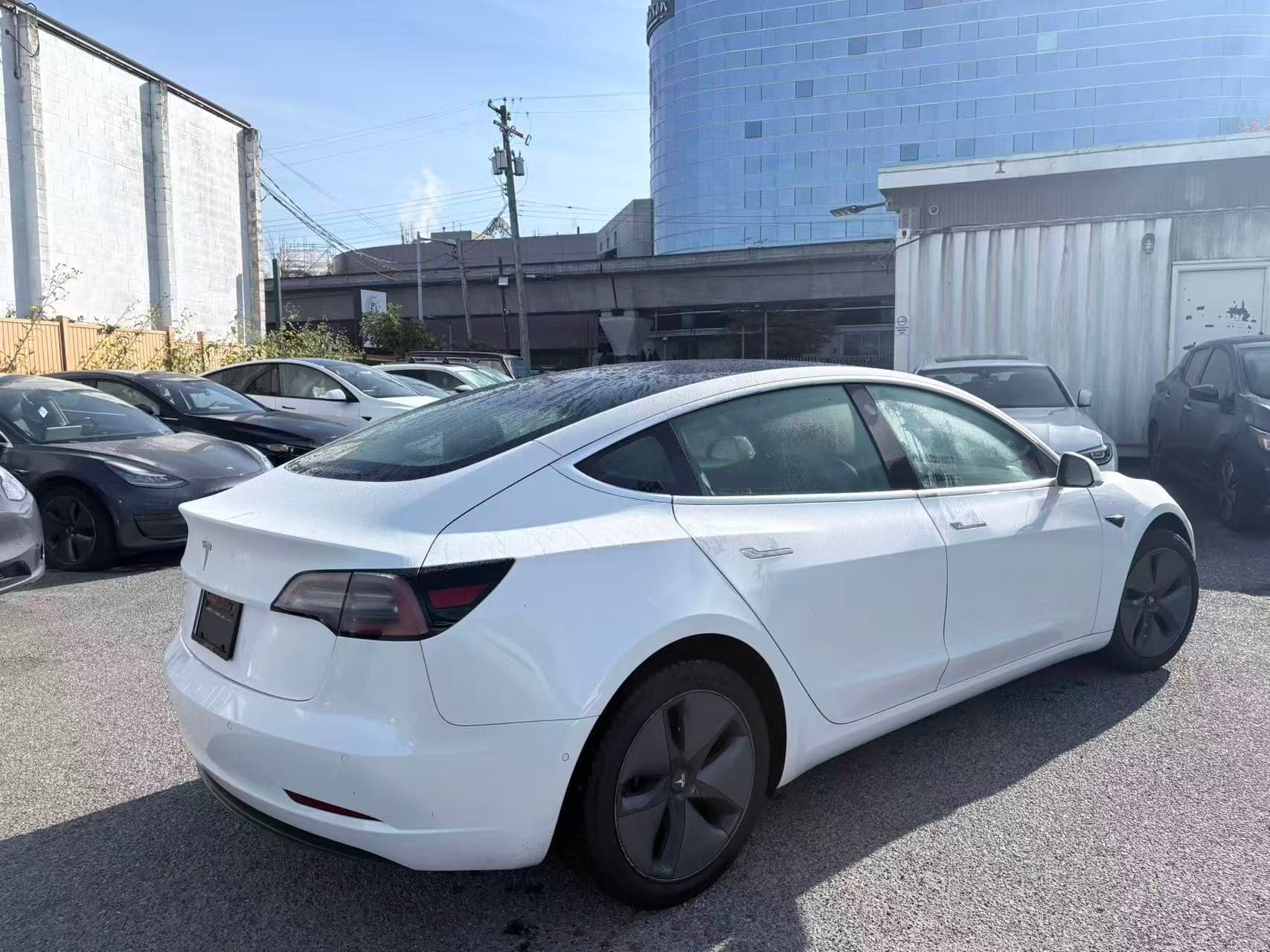 2019 Tesla Model 3 Standard Range RWD *Ltd Avail* NO ACCIDENTS/BC Local
