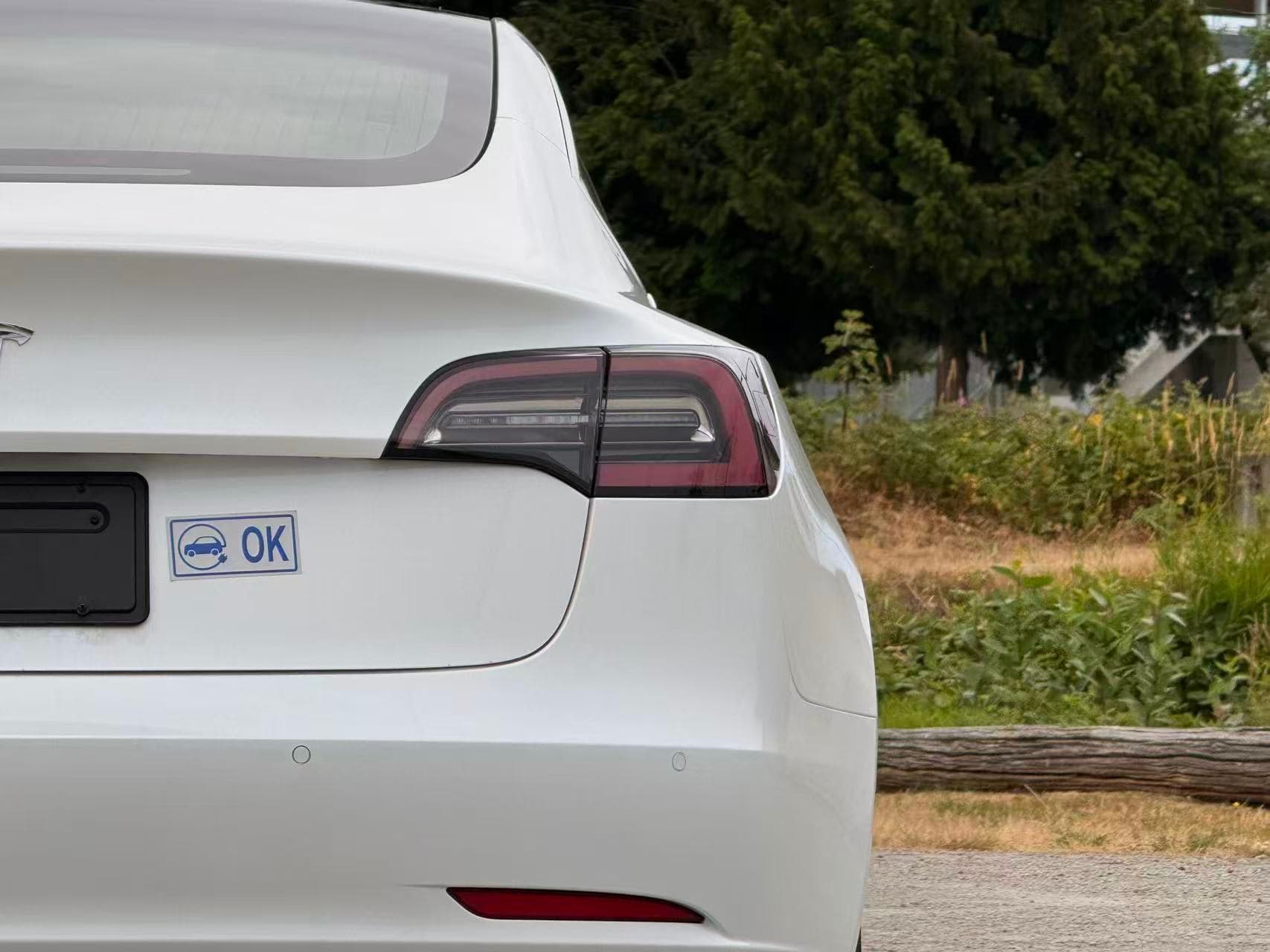 2019 Tesla Model 3 Standard Range RWD/ CLEAN TITLE/ BC LOCAL