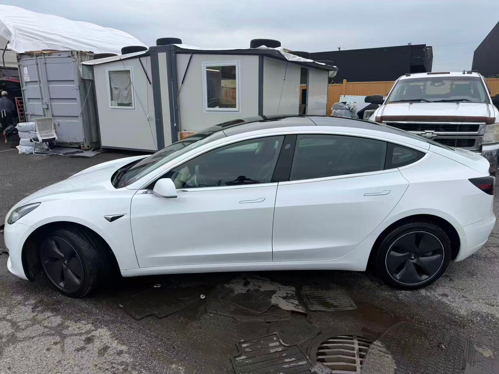 2020 Tesla Model 3 Standard Range Plus RWD BC Local