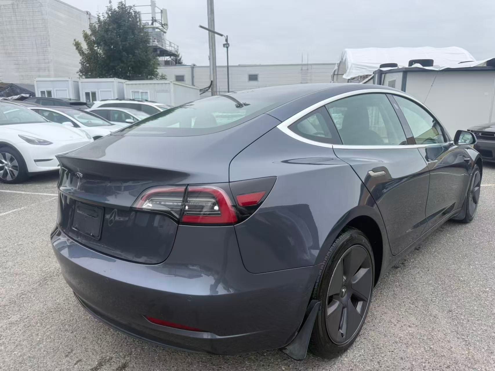 2020 Tesla Model 3 Standard Range Plus RWD NO ACCIDENTS/BC LOCAL CAR