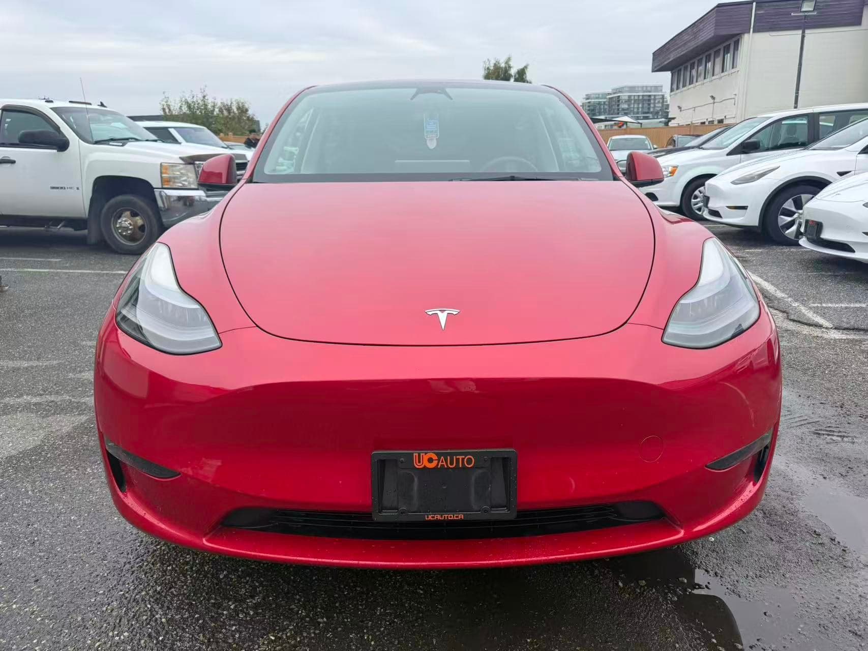 2023 Tesla Model Y RWD No Accident, BC Local, One Owner