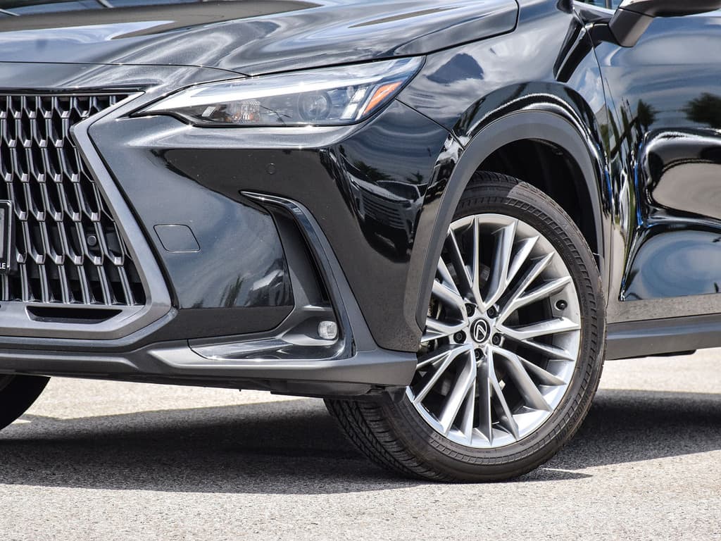 2024 Lexus NX 350h Luxury