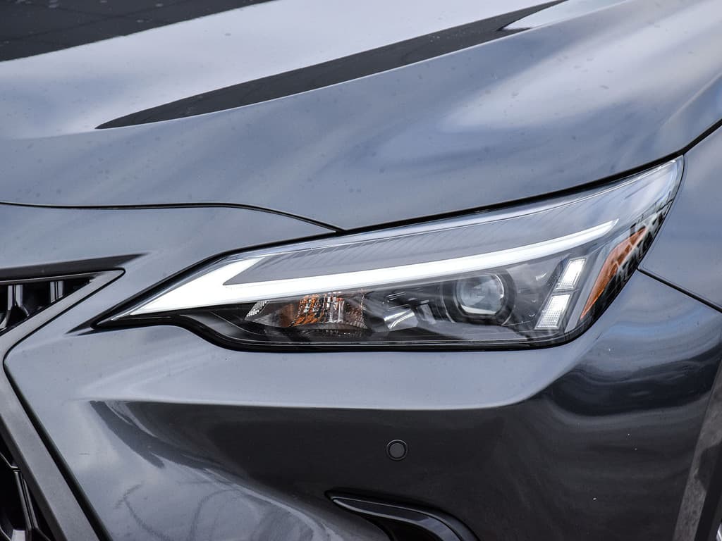 2024 Lexus  NX 350h Luxury 