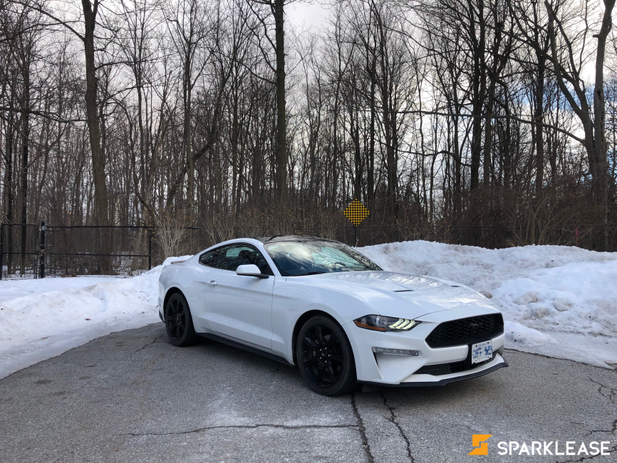 2019 Ford Mustang