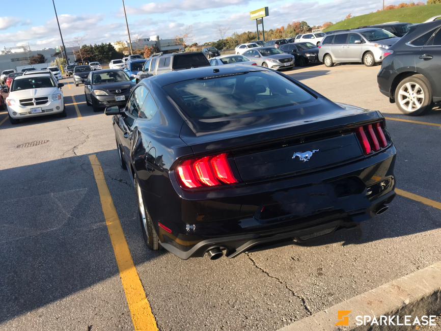 2019 Ford Mustang