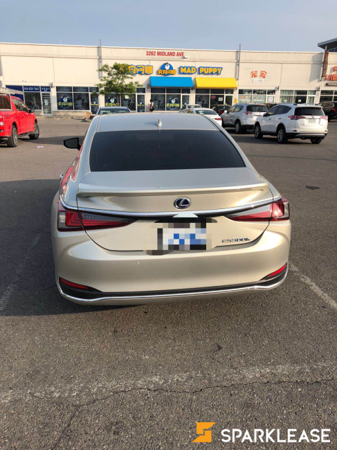 2019 Lexus ES300h