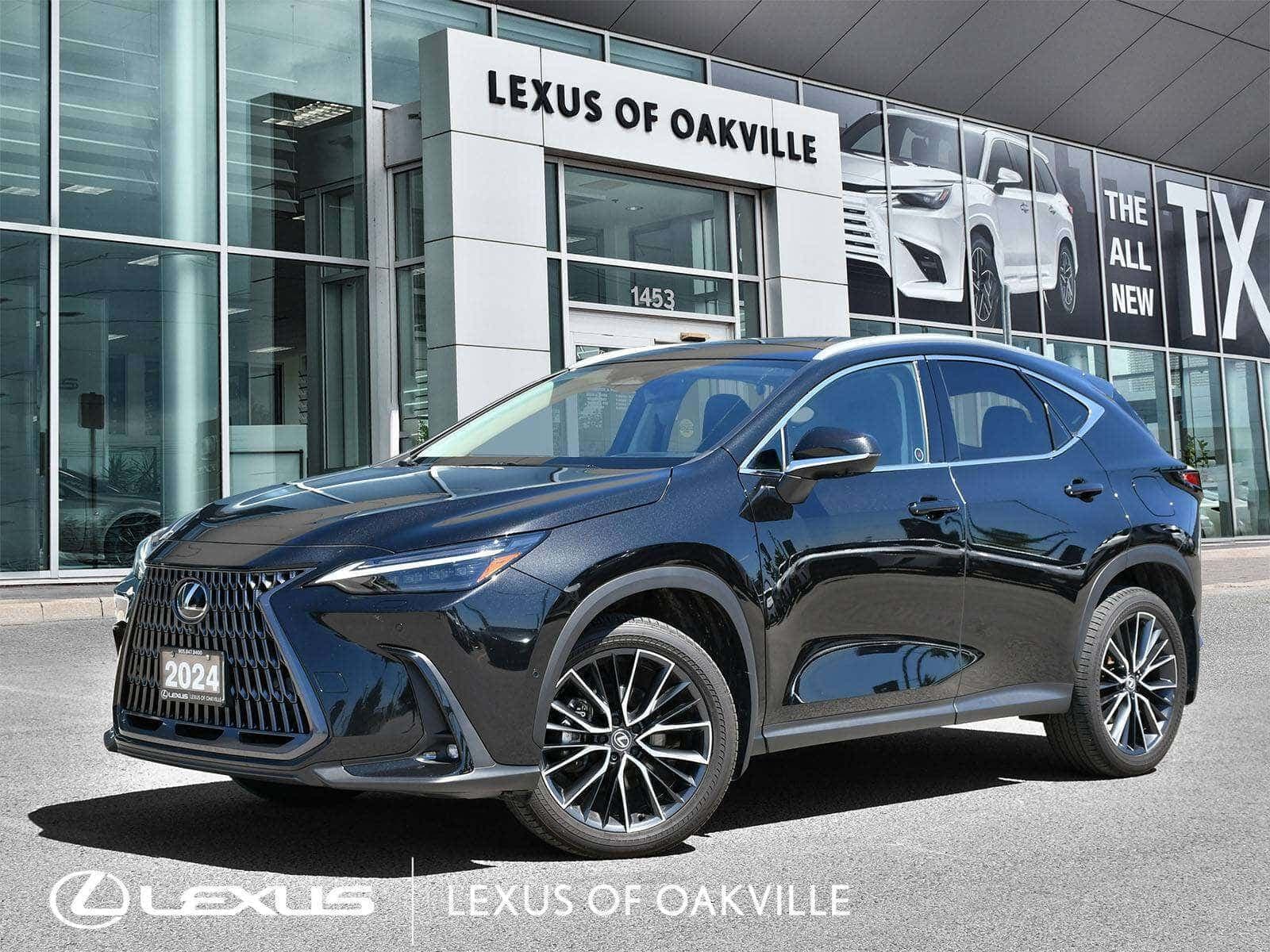 2024 Lexus NX 350h NX 350h