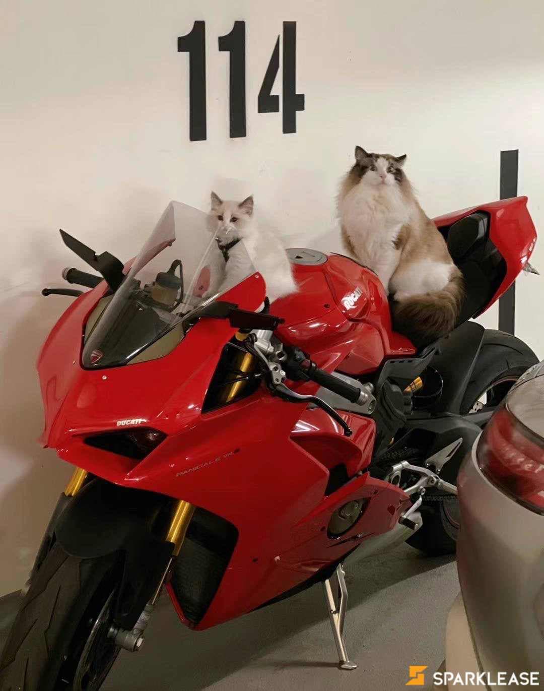 2019 Ducati Panigale v4s