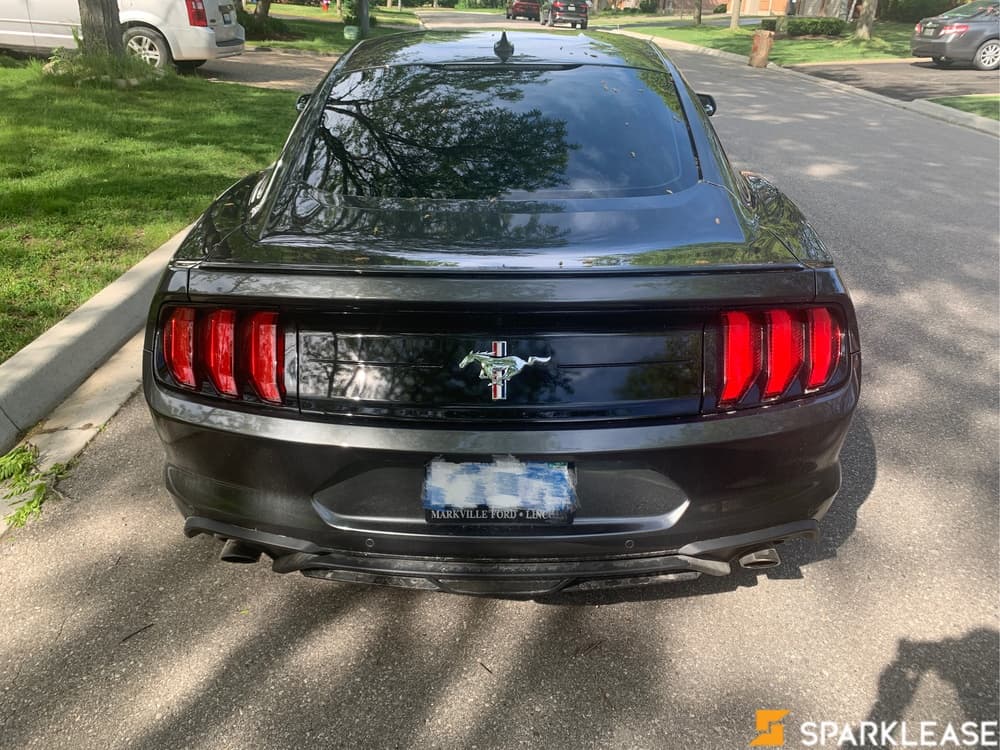 2020 Ford Mustang Ecoboost Premium Festback