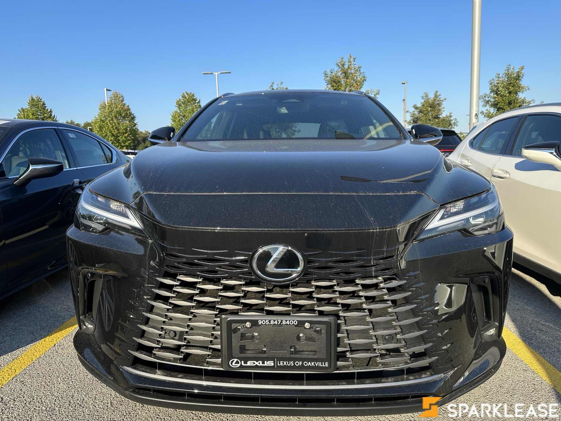 2023 Lexus  RX 350 Premium 现车