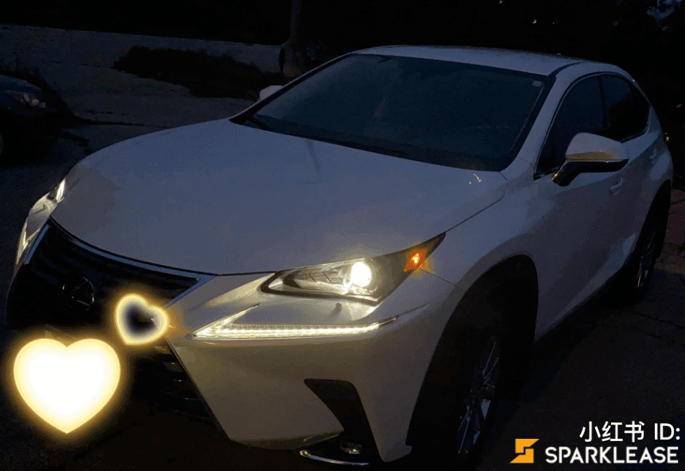 2021 Lexus NX300