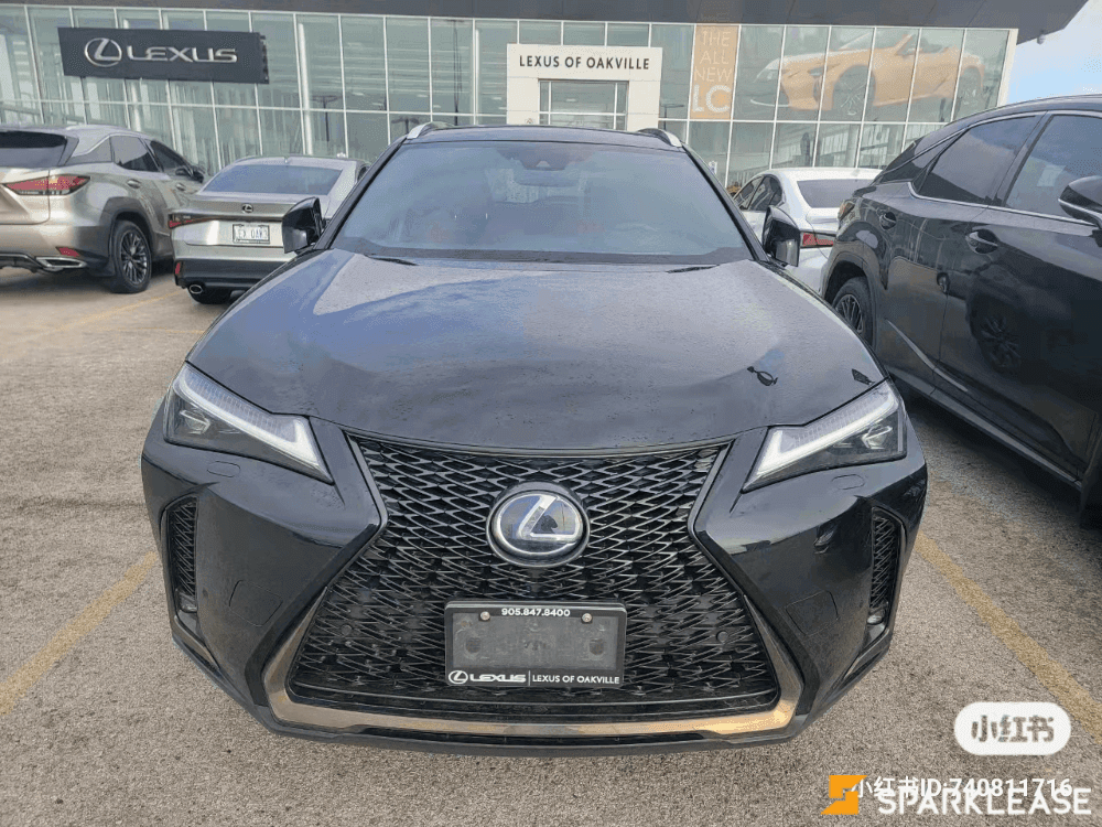 2020 Lexus UX 250h F-Sport 2 顶配