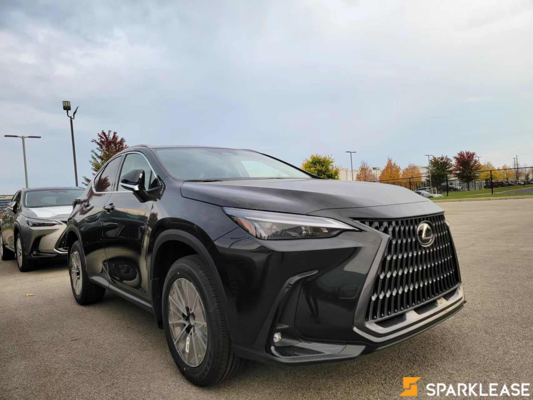 2022 Lexus  NX  NX 250 AWD 