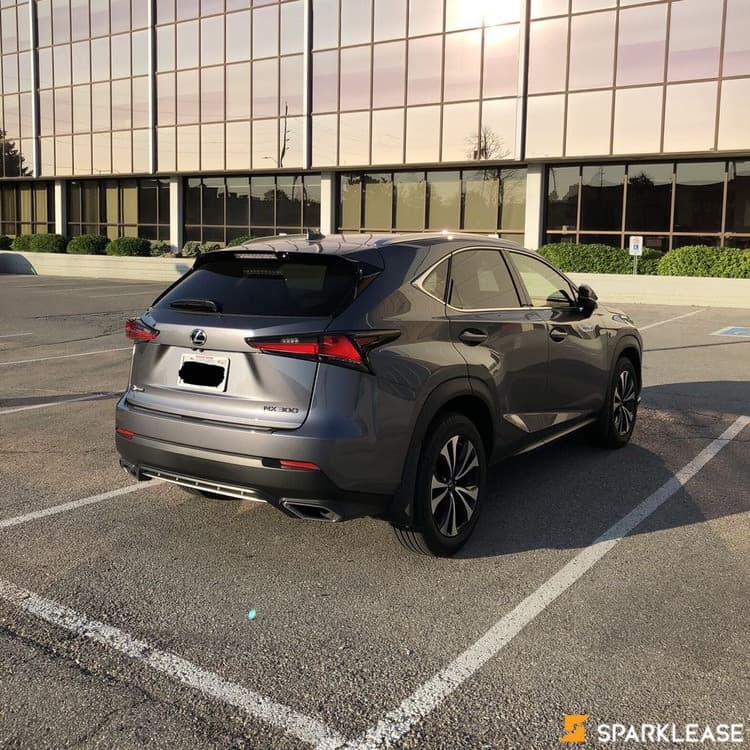 2019 Lexus NX300 F1