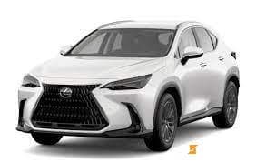 2022 Lexus  NX 250 AWD 