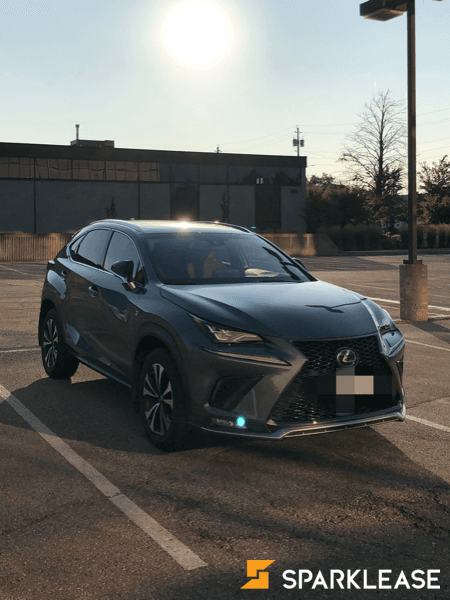 2019 Lexus NX300 F1
