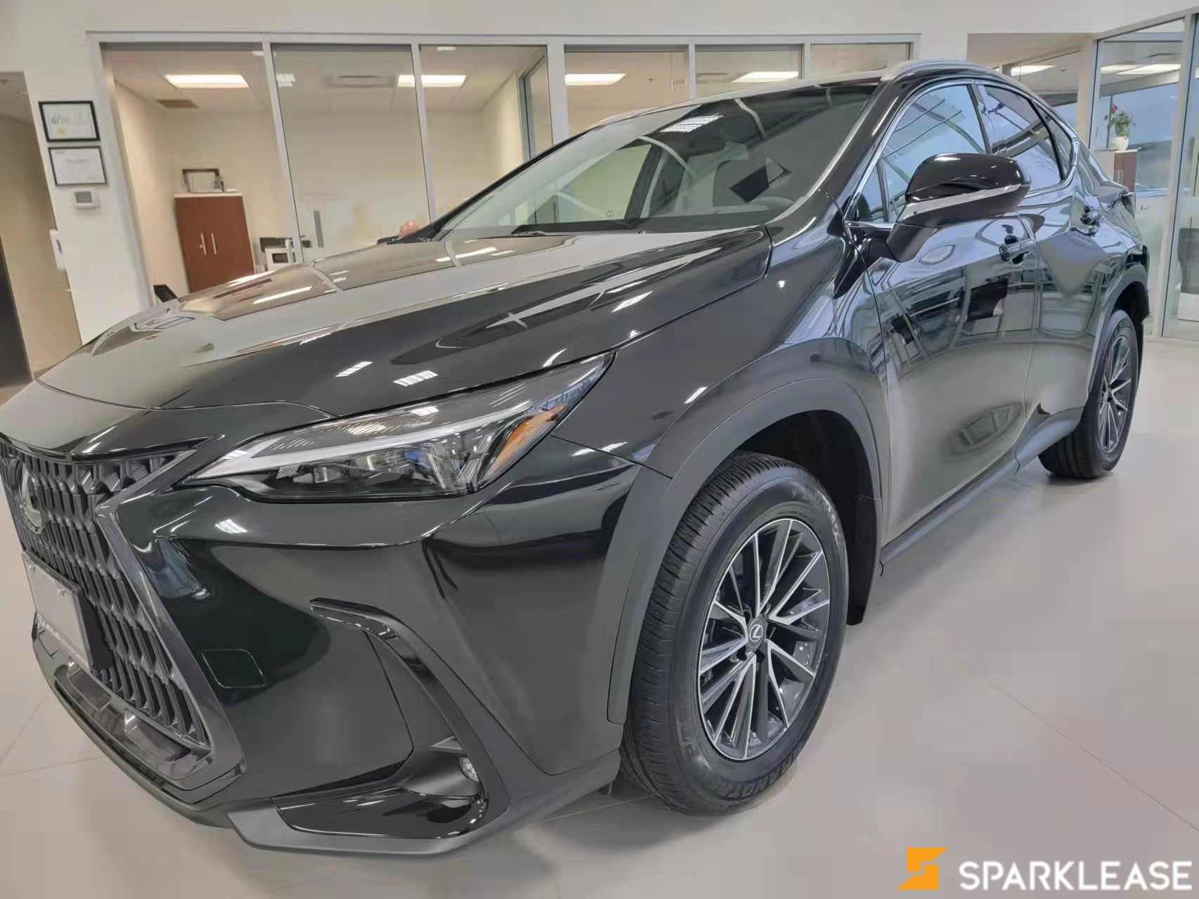 2022 Lexus  NX 250 AWD 现车