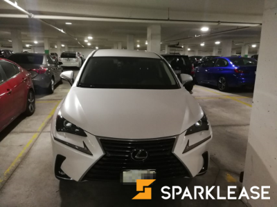 2020 Lexus NX