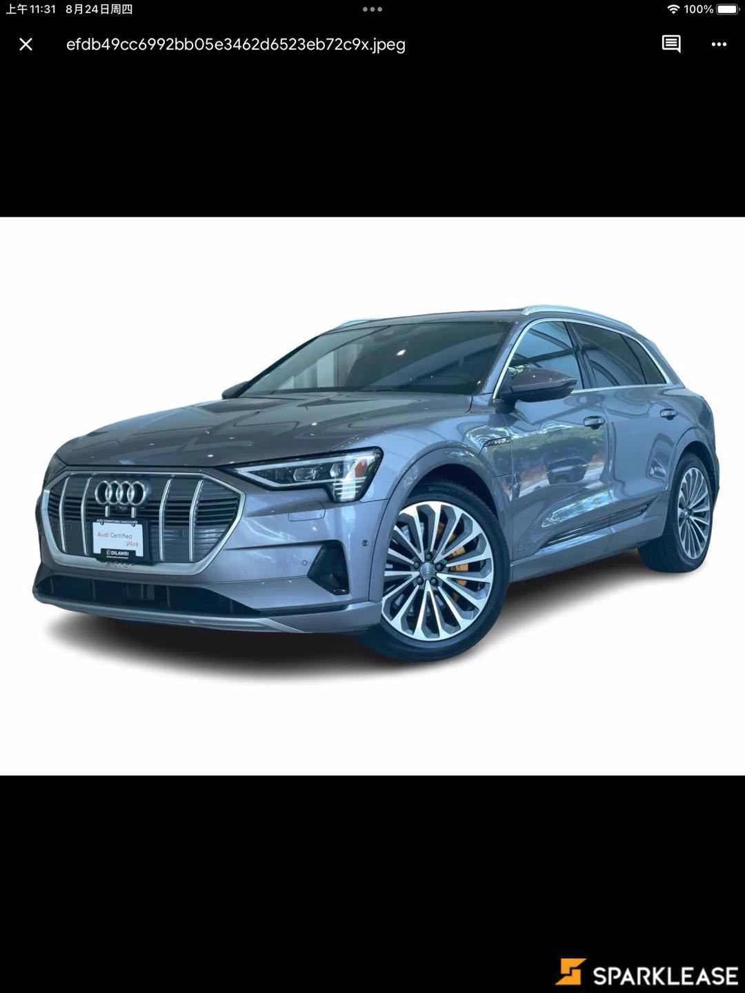 2019 Audi e-tron Technik quattro