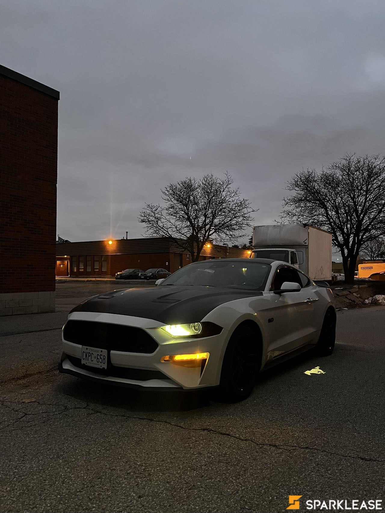 2019 Ford Mustang GT Premium Fastback