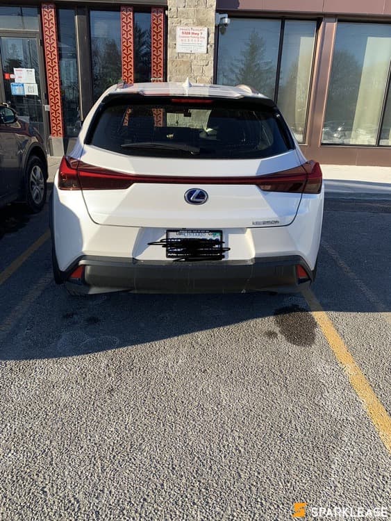2020 Lexus UX250h