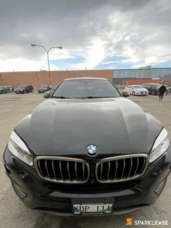 2015 BMW X6 35i