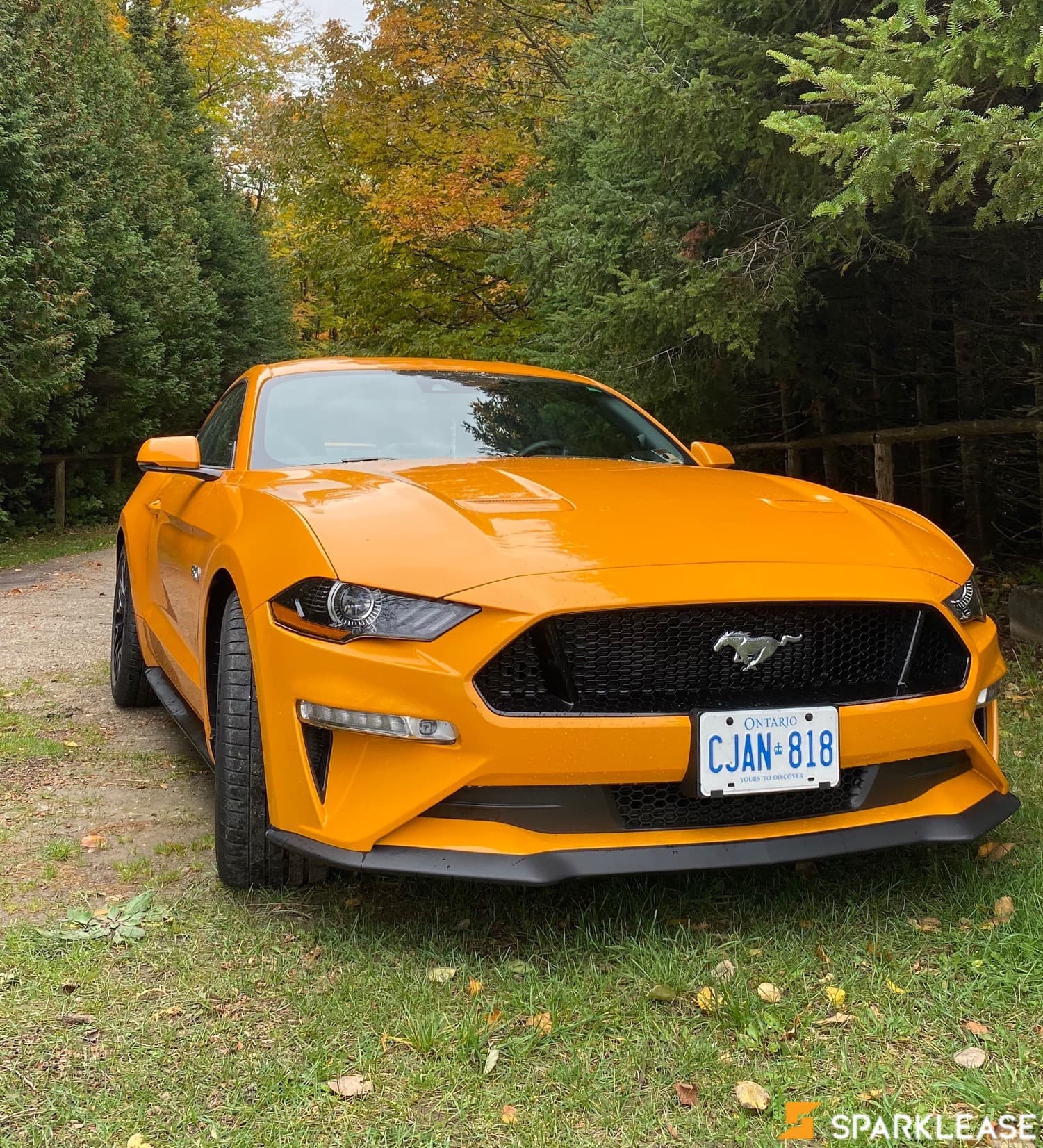 2019 Ford Mustang GT Premium Fastback