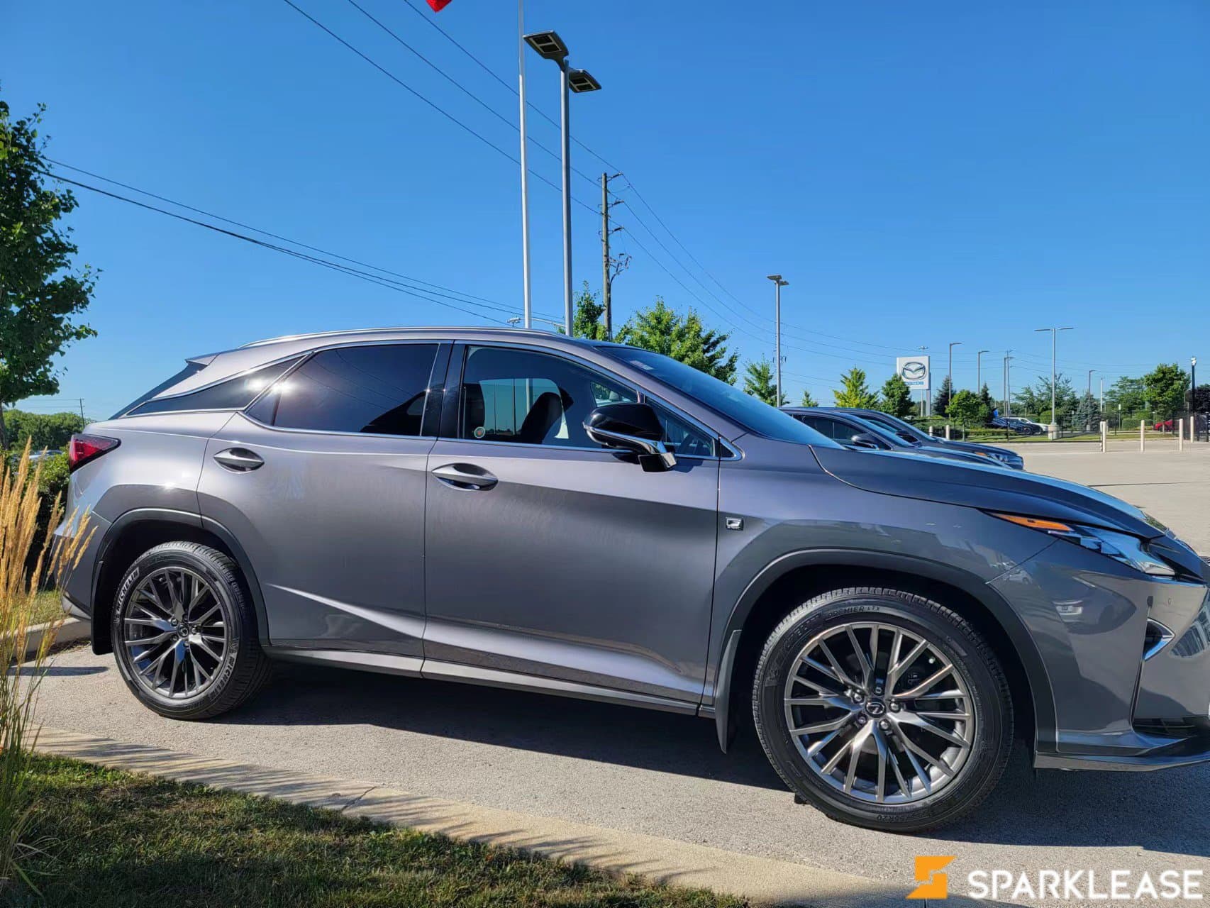 2019 Lexus  RX 350 F-Sport Series 3 (顶配）