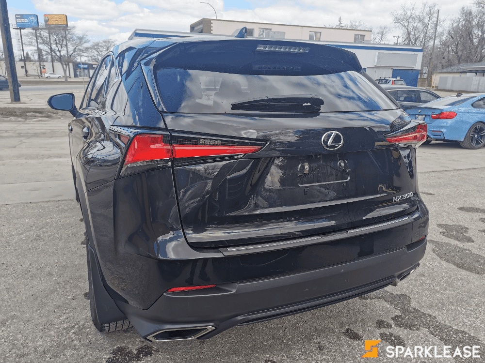 2019 Lexus NX