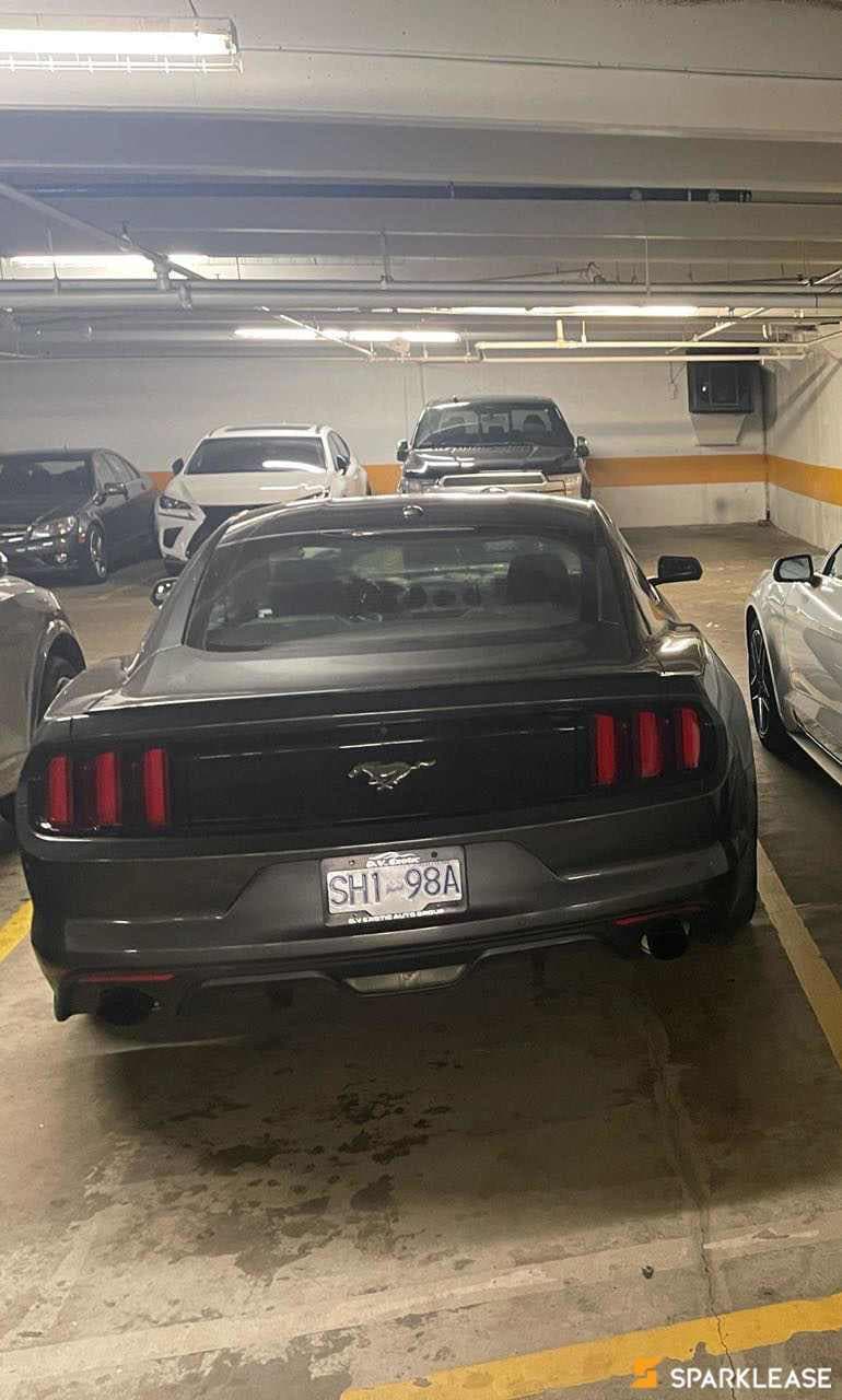 2017 Ford Mustang 2dr Fastback EcoBoost Premium