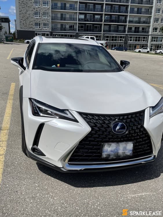 2020 Lexus UX 250h Luxury