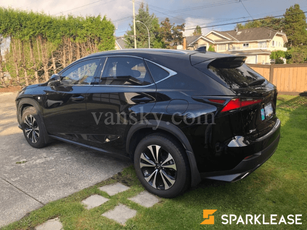 2019 Lexus NX300