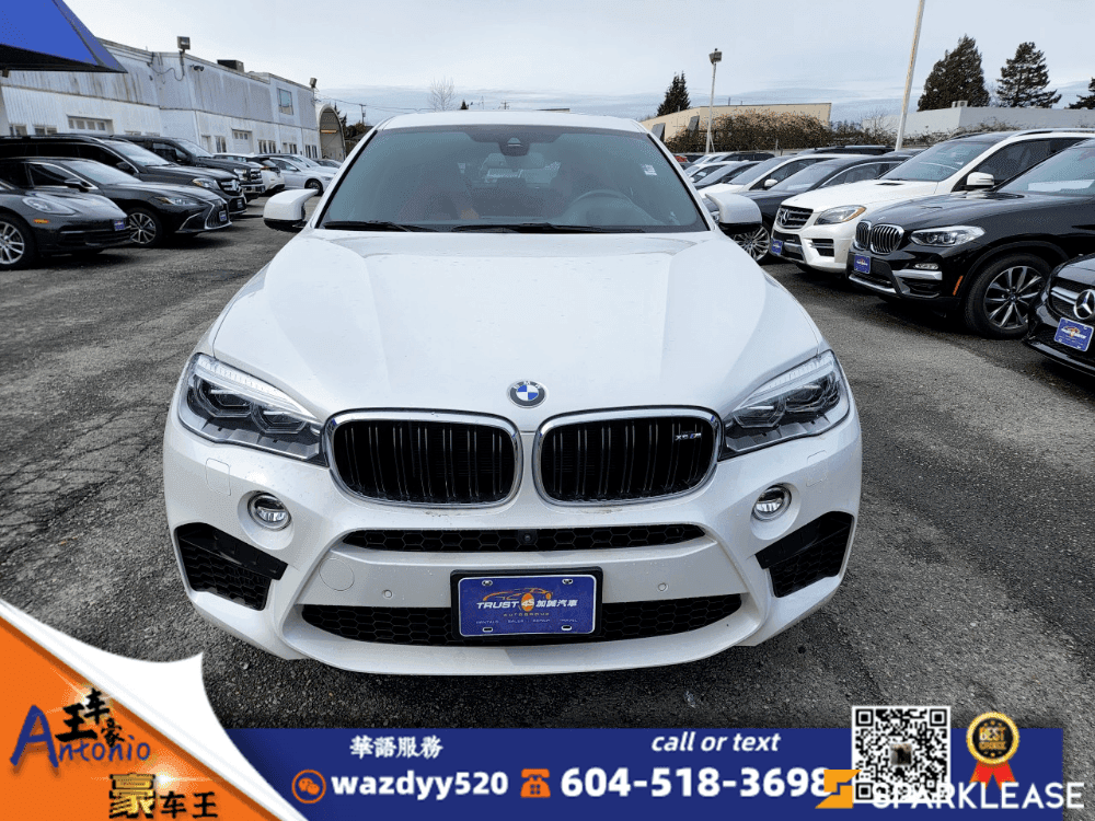 2016 BMW X6 M