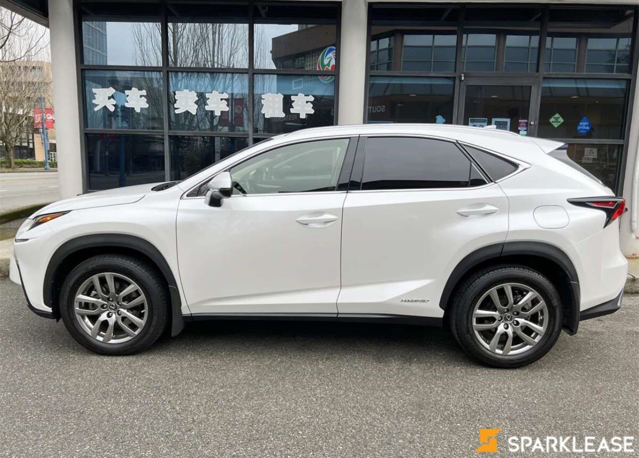 2020 Lexus NX300h 油电混合
