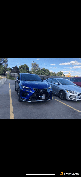 2020 Lexus NX Blue F Sprot 1