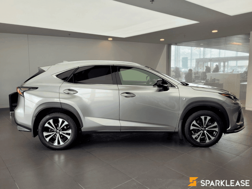2019 Lexus NX300
