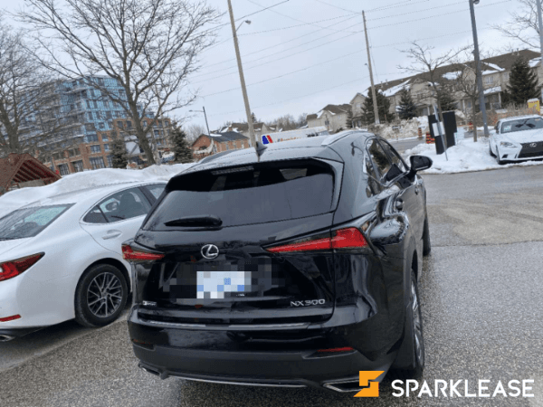 2020 Lexus NX 300 F SPORT2