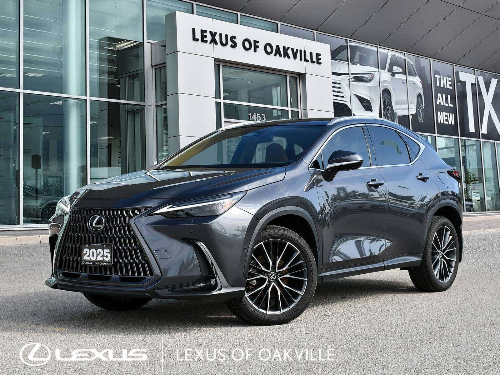 2025 Lexus NX 350h NX 350h