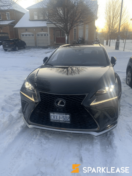 2020 Lexus NX Fsport