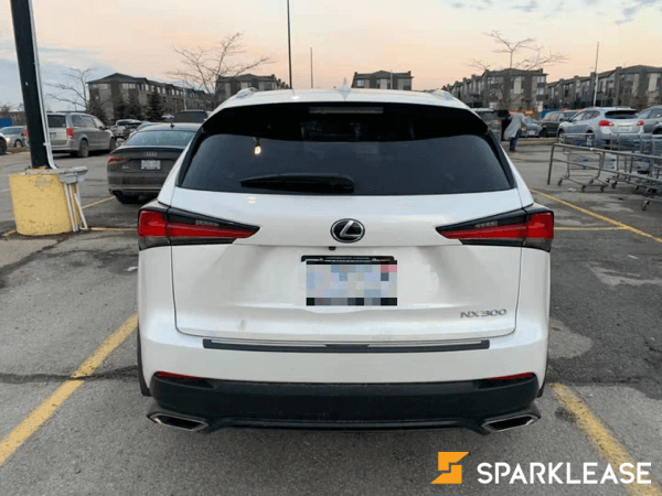 2020 Lexus Nx300t