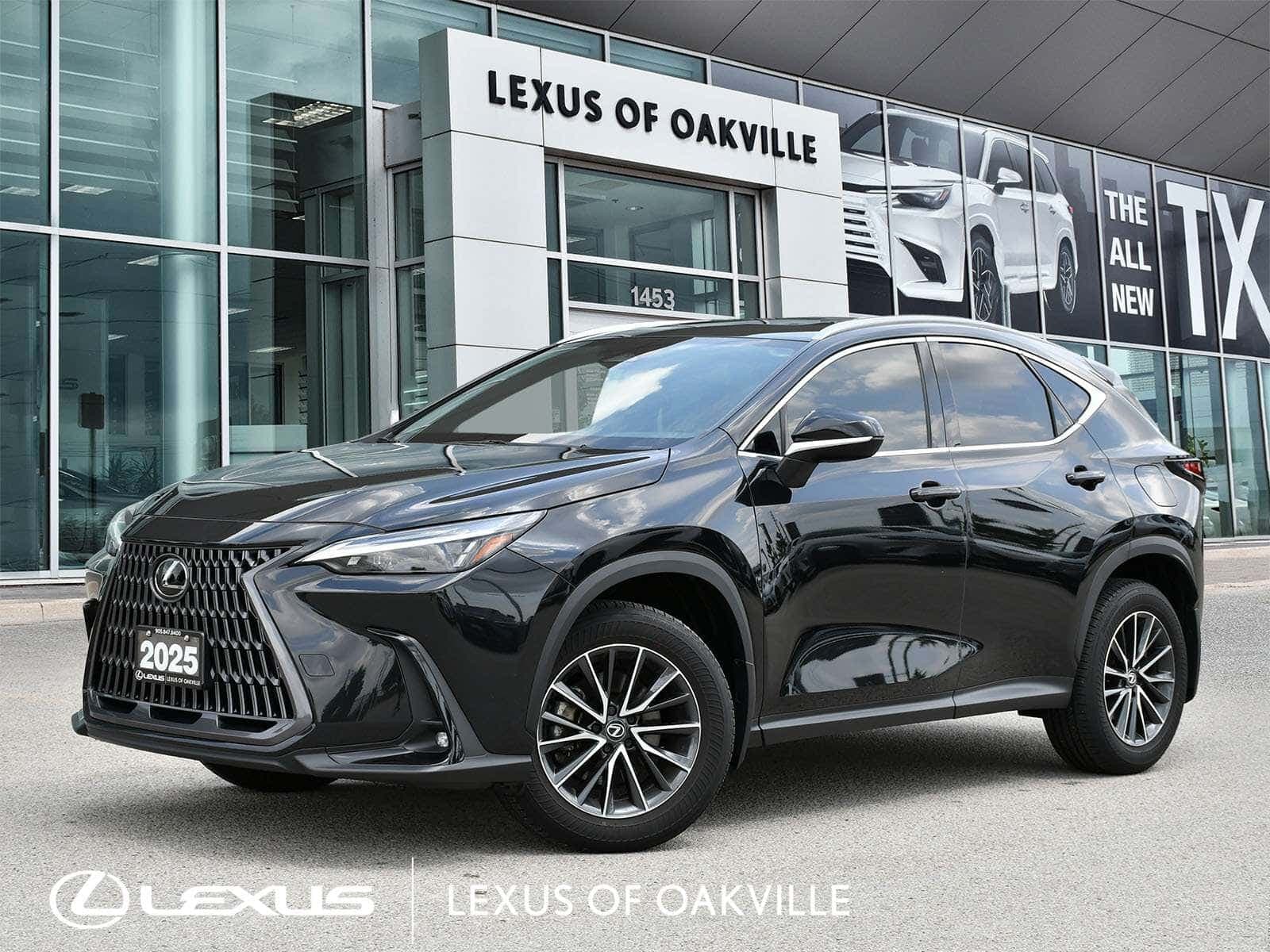 2025 Lexus NX 350 NX 350