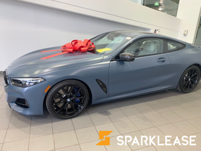 2019 BMW 8 Series first edition