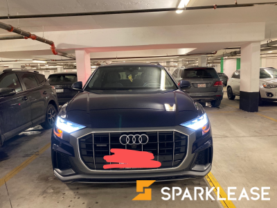 2019 Audi Q8