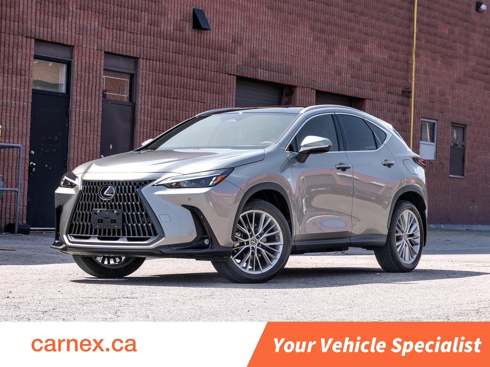 2024 Lexus NX 350h Luxury AWD |Clean Carfax |Red Interior