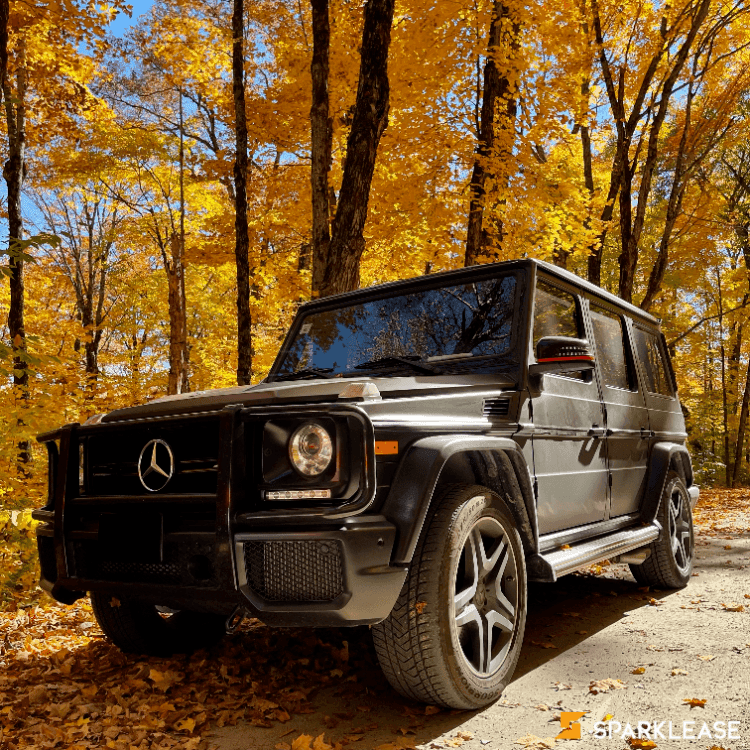 2017 Mercedes-Benz G-Class
